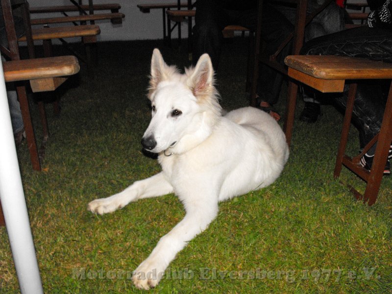 MCE Treffen 2011 - 065.JPG